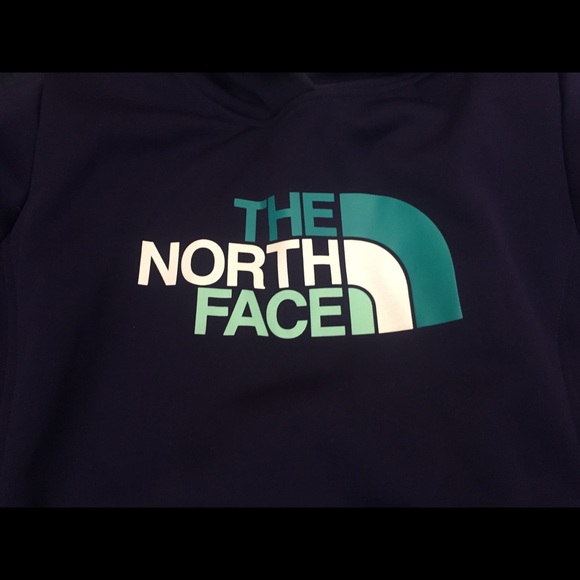 THE NORTH FACE DEEP PURPLE TEAL HOODED Sweatshirt VIBRANT GR8UC RARE - Picture 5 of 7